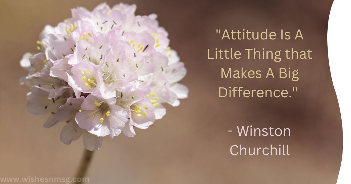 Attitude is Everything Quotes 